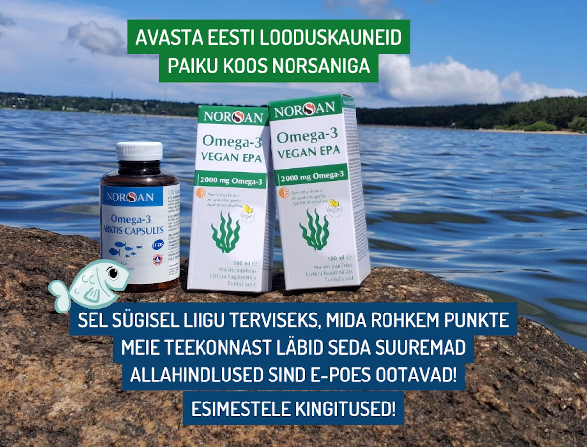 Kingitus + 20% allahindlus Norsani e-poest